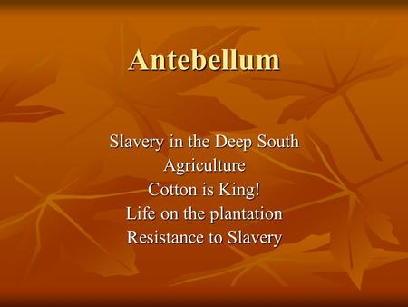 Antebellum Slavery in the Deep South Agriculture Cotton is King! Life on the plantation Resistance to Slavery.