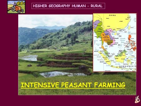 1 INTENSIVE PEASANT FARMING HIGHER GEOGRAPHY HUMAN - RURAL.