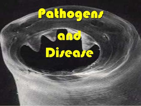 Pathogens and Disease. Pathogen: is any organism that causes disease Disease: an abnormality caused by a pathogen that affects performance of vital functions.