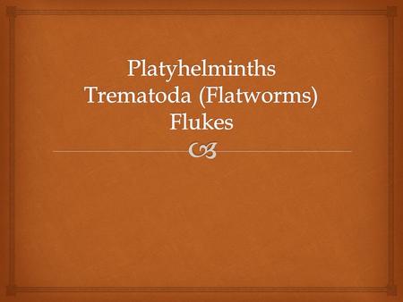   Flatworm  unsegmented body  No body cavity; nutrients diffuse across body surface =acoelomate  >11,000 species  Affect >300 million people each.