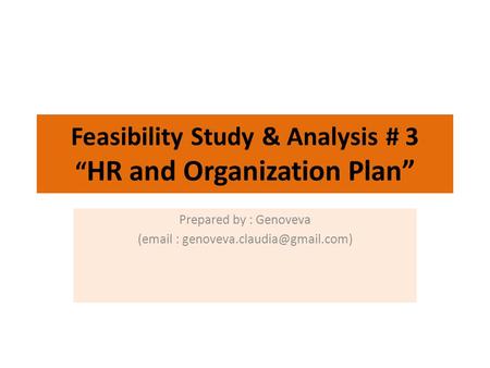 Feasibility Study & Analysis # 3 “ HR and Organization Plan” Prepared by : Genoveva (