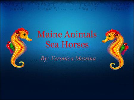 Maine Animals Sea Horses