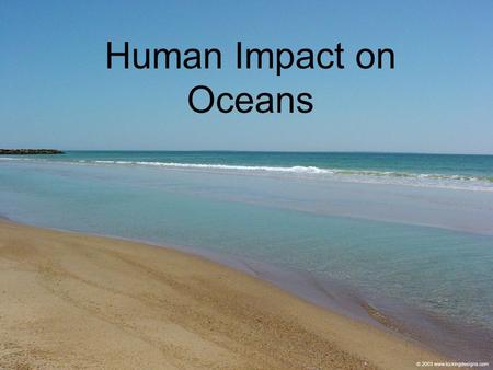 Human Impact on Oceans. About 37% results from a mix of materials and wastes which make up urban run-off and the discharge from land - based industrail.