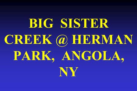 BIG SISTER HERMAN PARK, ANGOLA, NY