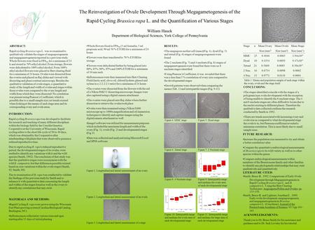 The Reinvestigation of Ovule Development Through Megagametogenesis of the Rapid Cycling Brassica rapa L. and the Quantification of Various Stages William.