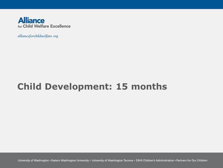 Child Development: 15 months. The Power of Partnership The Alliance for Child Welfare Excellence is Washington’s first comprehensive statewide training.