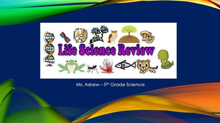 Ms. Askew – 5 th Grade Science. AN ANIMAL WITH A BACKBONE EXAMPLES: FISH, AMPHIBIAN, REPTILE, BIRD, MAMMAL Vertebrate.