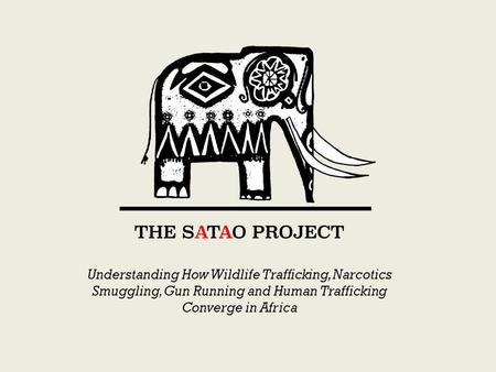 Understanding How Wildlife Trafficking, Narcotics Smuggling, Gun Running and Human Trafficking Converge in Africa.