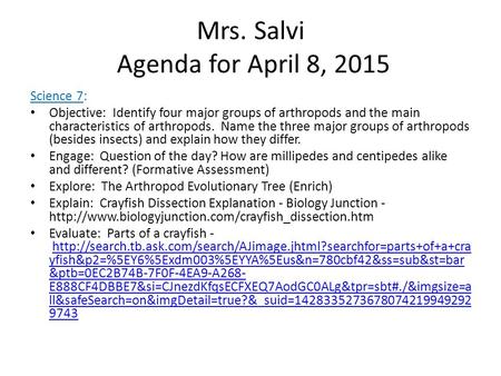 Mrs. Salvi Agenda for April 8, 2015 Science 7: Objective: Identify four major groups of arthropods and the main characteristics of arthropods. Name the.