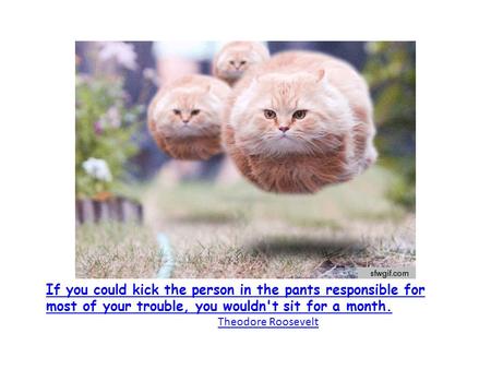 If you could kick the person in the pants responsible for most of your trouble, you wouldn't sit for a month. Theodore Roosevelt.