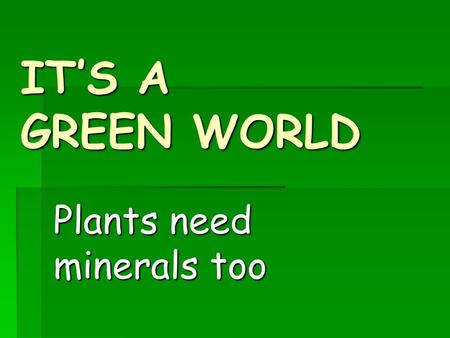 Plants need minerals too