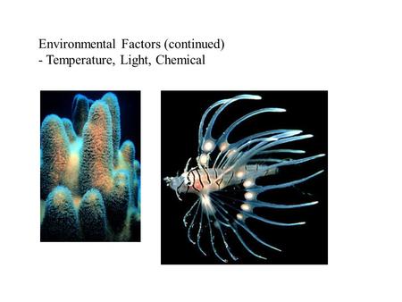 Environmental Factors (continued) - Temperature, Light, Chemical.