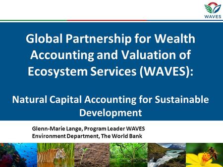 Global Partnership for Wealth Accounting and Valuation of Ecosystem Services (WAVES): Natural Capital Accounting for Sustainable Development Glenn-Marie.