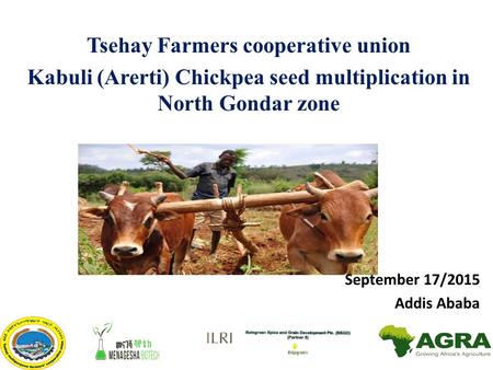 Tsehay Farmers cooperative union