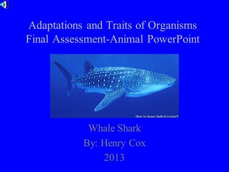 Adaptations and Traits of Organisms Final Assessment-Animal PowerPoint Whale Shark By: Henry Cox 2013.