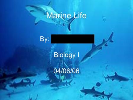 Marine Life By: Eliot S. Suggs Biology I 04/06/06.