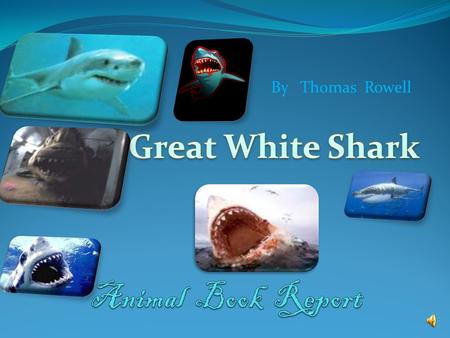 By Thomas Rowell There are five different groups of animals with vertebrates Mammals Fish Reptiles Birds Amphibians.