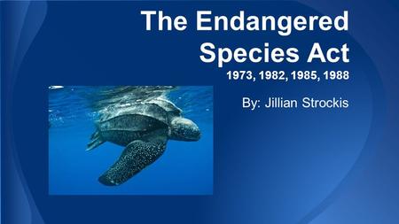 The Endangered Species Act 1973, 1982, 1985, 1988