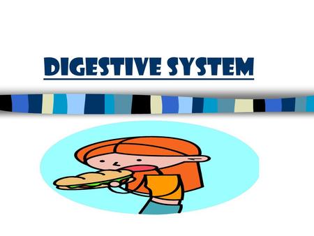 Digestive System. Main Functions Digestion Absorption Elimination.