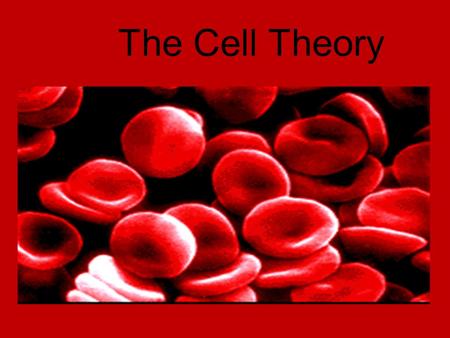 The Cell Theory. Some Random Cell Facts The average human being is composed of around 100 Trillion individual cells!!! It would take as many as 50 cells.