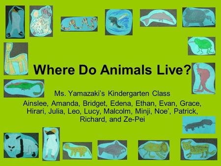 Where Do Animals Live? Ms. Yamazaki’s Kindergarten Class Ainslee, Amanda, Bridget, Edena, Ethan, Evan, Grace, Hirari, Julia, Leo, Lucy, Malcolm, Minji,