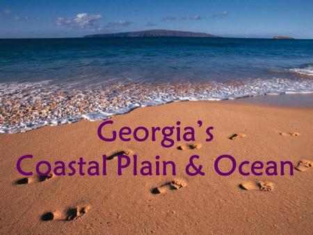 Georgia’s Coastal Plain & Ocean