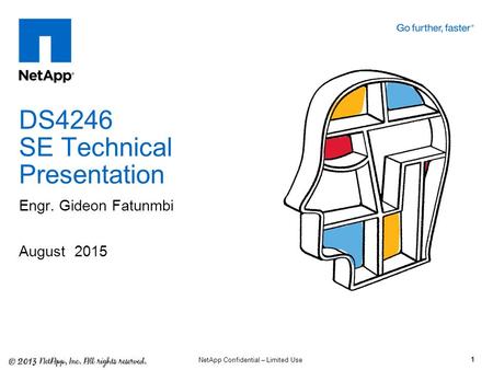 DS4246 SE Technical Presentation