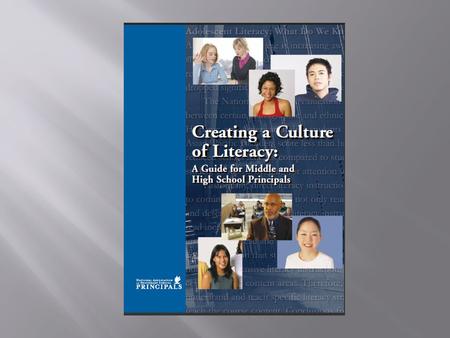 2 Adolescent Literacy School Improvement Cycle Vision  If you had a fully functioning literacy leadership team in your school, what would it look like?