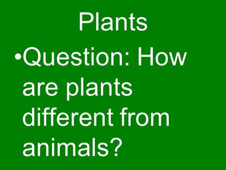 Plants Question: How are plants different from animals?