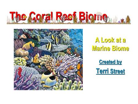 A Look at a Marine Biome Created by Created by Terri Street Terri Street The Coral Reef Biome.