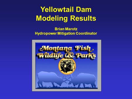 Yellowtail Dam Modeling Results Brian Marotz Hydropower Mitigation Coordinator.