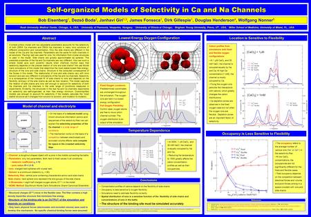 Self-organized Models of Selectivity in Ca and Na Channels Bob Eisenberg 1, Dezső Boda 2, Janhavi Giri 1,3, James Fonseca 1, Dirk Gillespie 1, Douglas.