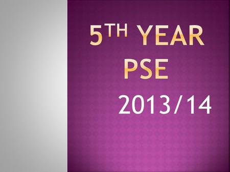 2013/14.  Increase use of ICT  Outside agencies to contact for support  Outside speakers presentations  Opportunity to produce a CV  Personal safety.