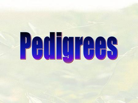 Pedigrees Show how traits are passed on in a family = Female = Male See purple booklet after page 16 OR blue page 57 for pedigree symbols (these are on.