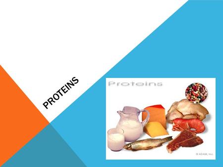 PROTEINS. PROTEIN The main function of protein is to build and repair tissues (muscle tissue)