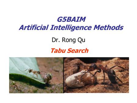 G5BAIM Artificial Intelligence Methods