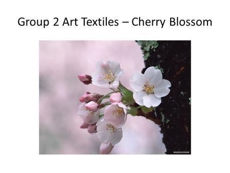 Group 2 Art Textiles – Cherry Blossom. Cherry blossom festival ‘hanami’, Japan.