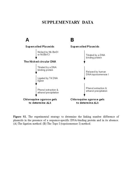 SUPPLEMENTARY DATA Figure S1. The experimental strategy to determine the linking number difference of plasmids in the presence of a sequence-specific DNA-binding.