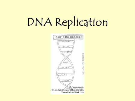 DNA Replication.