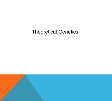 Theoretical Genetics. GENETICS Gregor Mendel – The Father of Genetics  High School teacher and minister  One of side jobs was as a gardener  While.