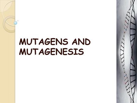 MUTAGENS AND MUTAGENESIS. Mutagens  Naturally occurring mutations are referred as spontaneous mutations and are thought to arise through chance errors.