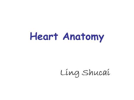 Heart Anatomy. Contents Cardiac Chambers Structure of the Heart Conduction System Pericardium External morphology Position Vessels of the Heart.