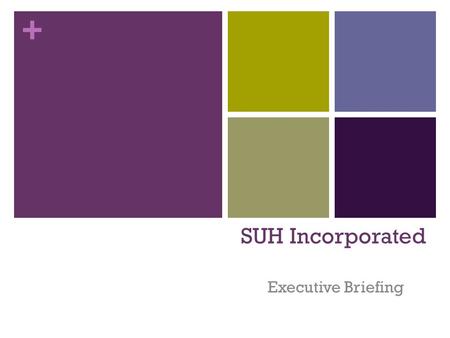 + SUH Incorporated Executive Briefing. + SUH Business Opportunity I.T. solutions are needed to improve SUH’s ability to operate Sales Support team would.