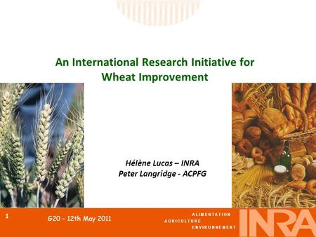 A L I M E N T A T I O N A G R I C U L T U R E E N V I R O N N E M E N T 1 G20 – 12th May 2011 An International Research Initiative for Wheat Improvement.