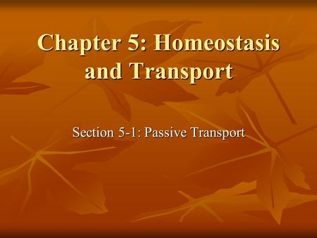 Chapter 5: Homeostasis and Transport