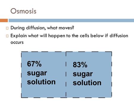 Osmosis 67% sugar solution 83% sugar solution