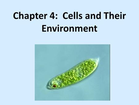 Chapter 4: Cells and Their Environment