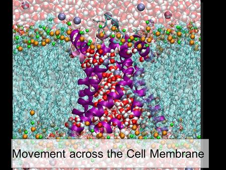 2006-2007 Movement across the Cell Membrane. Diffusion  Diffusion  movement from HIGH → LOW concentration  Down the concentration gradient  Diffusion.