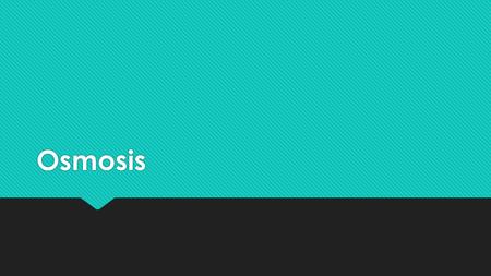 Osmosis.  The movement of water across a semi-permeable membrane from an area of high water potential, to an area of low water potential until water.