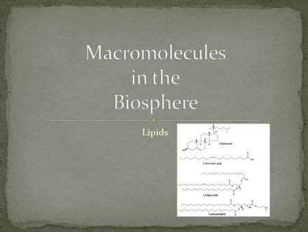 Lipids. Macromolecules are large organic carbon compounds Carbohydrates (Cell Energy) Proteins (Enzyme Activity) Nucleic Acids (Gene Expression/ Cell.